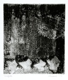 Artist: b'Shearer, Mitzi.' | Title: b'Variation on a theme' | Date: 1978 | Technique: b'etching, printed in black ink, from one  plate'