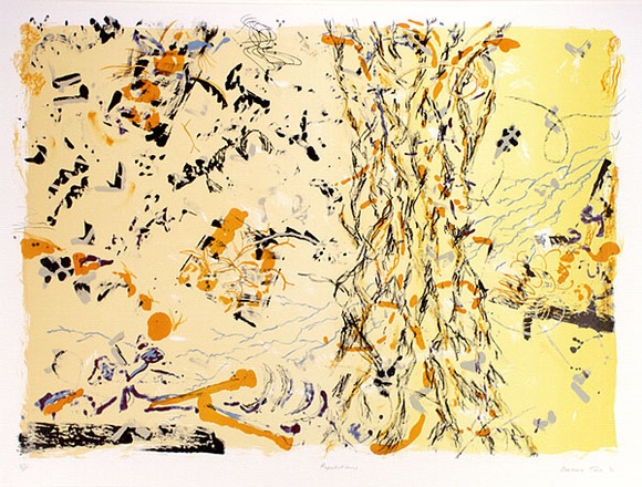 Artist: b'TUCK, Barbara' | Title: b'Repetitions' | Date: 1990 | Technique: b'lithograph, printed in colour, from multiple stones' | Copyright: b'\xc2\xa9 Barbara Tuck.' Artist: b'TUCK, Barbara' | Title: b'Repetitions' | Date: 1990 | Technique: b'lithograph, printed in colour, from multiple stones' | Copyright: b'\xc2\xa9 Barbara Tuck.'