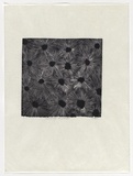 Artist: b'Head, Rachel.' | Title: b'Patterned page from pillow book' | Technique: b'linocut, printed in black ink, from one block'