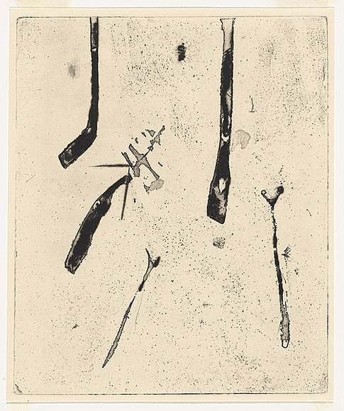 Artist: b'WILLIAMS, Fred' | Title: b'Ferns. Number 1' | Date: 1971 | Technique: b'aquatint, foul biting, flat biting, engraving, electric hand engraving, roulette and scraper, printed in black ink, from one zinc plate' | Copyright: b'\xc2\xa9 Fred Williams Estate'
