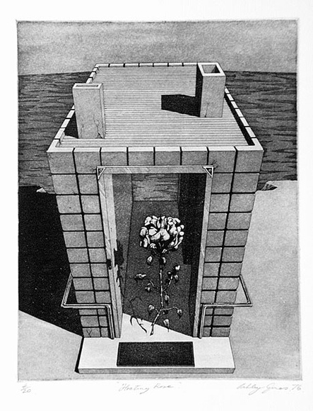 Artist: b'Jones, Ashley.' | Title: b'Floating Rose' | Date: 1976 | Technique: b'etching and aquatint, printed in black ink, from one plate' Artist: b'Jones, Ashley.' | Title: b'Floating Rose' | Date: 1976 | Technique: b'etching and aquatint, printed in black ink, from one plate'