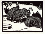 Artist: Waller, M. Napier. | Title: Guinea fowls | Date: c.1922 | Technique: linocut, printed in black ink, from one block