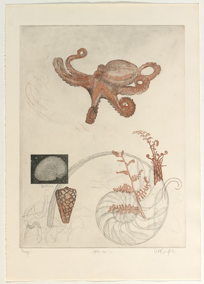 Artist: b'GRIFFITH, Pamela' | Title: b'Helices' | Date: 1979 | Technique: b'etching, aquatint, soft ground with roulette printed in colour from two zinc plates' | Copyright: b'\xc2\xa9 Pamela Griffith' Artist: b'GRIFFITH, Pamela' | Title: b'Helices' | Date: 1979 | Technique: b'etching, aquatint, soft ground with roulette printed in colour from two zinc plates' | Copyright: b'\xc2\xa9 Pamela Griffith'