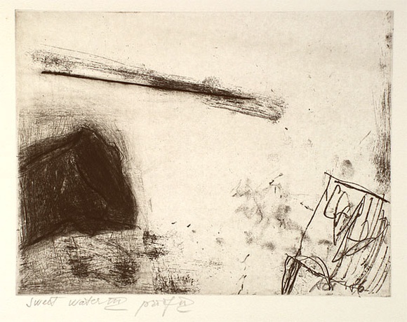 Artist: b'Tomescu, Aida.' | Title: b'Sweet waters III' | Date: 1986 | Technique: b'etching, roullette and drypoint, printed in black ink, from one plate' | Copyright: b'\xc2\xa9 Aida Tomescu' Artist: b'Tomescu, Aida.' | Title: b'Sweet waters III' | Date: 1986 | Technique: b'etching, roullette and drypoint, printed in black ink, from one plate' | Copyright: b'\xc2\xa9 Aida Tomescu'