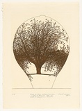 Artist: ROSE, David | Title: Study for large mulberry tree vase | Date: 1980 | Technique: etching and aquatint, printed in black ink, from one plate