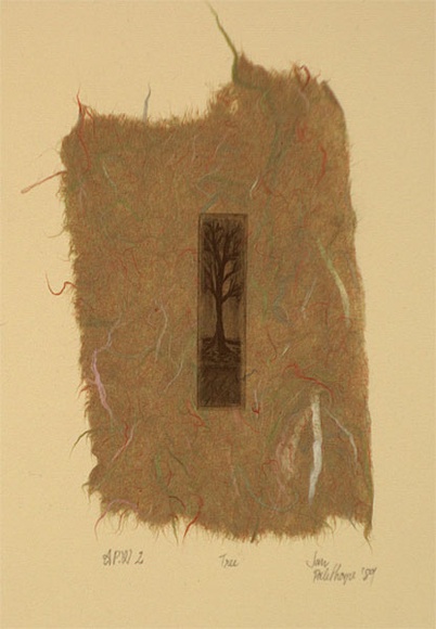 Artist: b'Palethorpe, Jan' | Title: b'Tree' | Date: 1989 | Technique: b'etching, printed in black ink, from one plate' Artist: b'Palethorpe, Jan' | Title: b'Tree' | Date: 1989 | Technique: b'etching, printed in black ink, from one plate'