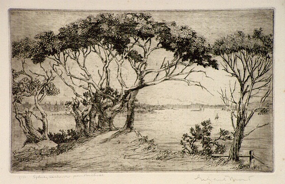 Artist: MORT, Eirene | Title: Sydney Harbour from Vaucluse | Date: 1923 | Technique: etching, printed in black ink, from one plate