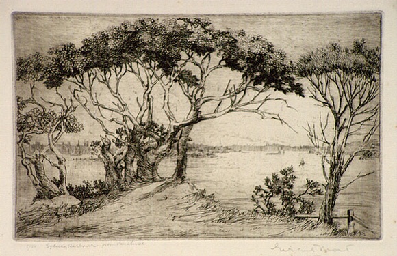 Artist: MORT, Eirene | Title: Sydney Harbour from Vaucluse | Date: 1923 | Technique: etching, printed in black ink, from one plate Artist: MORT, Eirene | Title: Sydney Harbour from Vaucluse | Date: 1923 | Technique: etching, printed in black ink, from one plate