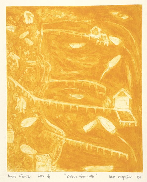 Artist: b'Napier, Ian.' | Title: b'Citrus Sorrento' | Date: 1991, September | Technique: b'aquatint, printed in yellow ink, from one plate' Artist: b'Napier, Ian.' | Title: b'Citrus Sorrento' | Date: 1991, September | Technique: b'aquatint, printed in yellow ink, from one plate'