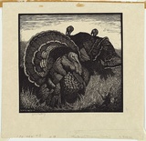 Artist: LINDSAY, Lionel | Title: Heysen's birds | Date: 1923 | Technique: wood-engraving, printed in black ink, from one block | Copyright: Courtesy of the National Library of Australia