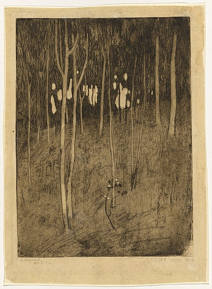 Artist: b'Traill, Jessie.' | Title: b'The little wood' | Date: 1912 | Technique: b'etching and aquatint, printed in warm black ink, with wiped highlights, from one plate' Artist: b'Traill, Jessie.' | Title: b'The little wood' | Date: 1912 | Technique: b'etching and aquatint, printed in warm black ink, with wiped highlights, from one plate'