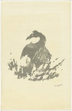 Artist: Cant, James. | Title: Grey goose. | Date: 1973 | Technique: screenprint, printed in grey ink, from one stencil