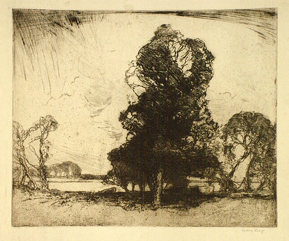 Artist: b'Long, Sydney.' | Title: b'Between the showers' | Date: (1916) | Technique: b'line-etching and drypoint, printed in warm black ink, from one zinc plate' | Copyright: b'Reproduced with the kind permission of the Ophthalmic Research Institute of Australia'