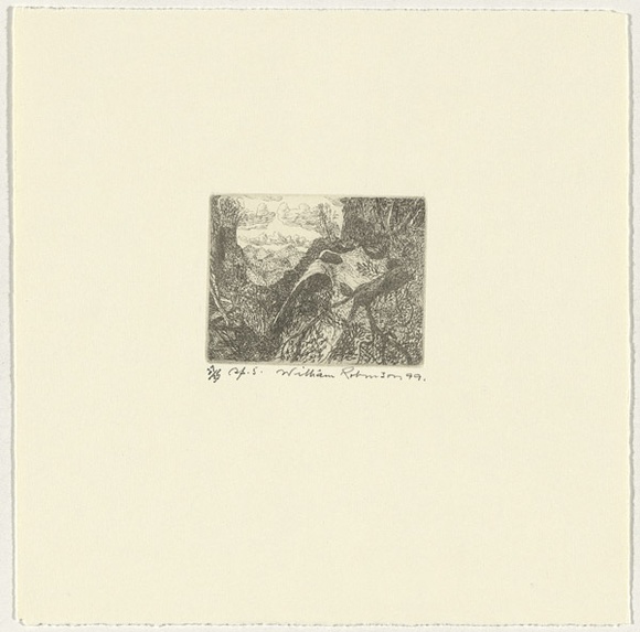 Artist: b'Robinson, William.' | Title: b'Springbrook 5' | Date: 1999 | Technique: b'etching, printed in brown ink, from one plate' Artist: b'Robinson, William.' | Title: b'Springbrook 5' | Date: 1999 | Technique: b'etching, printed in brown ink, from one plate'