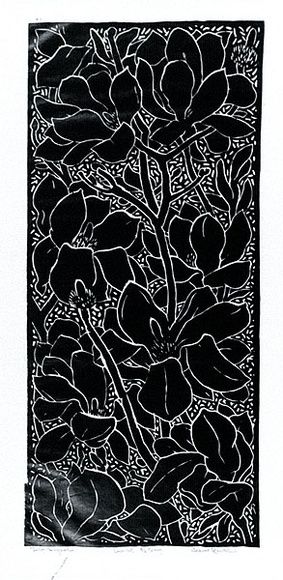 Artist: b'Hawkins, Weaver.' | Title: b'Tulip-magnolia' | Date: c.1967 | Technique: b'linocut, printed in black ink, from one block' | Copyright: b'The Estate of H.F Weaver Hawkins' Artist: b'Hawkins, Weaver.' | Title: b'Tulip-magnolia' | Date: c.1967 | Technique: b'linocut, printed in black ink, from one block' | Copyright: b'The Estate of H.F Weaver Hawkins'