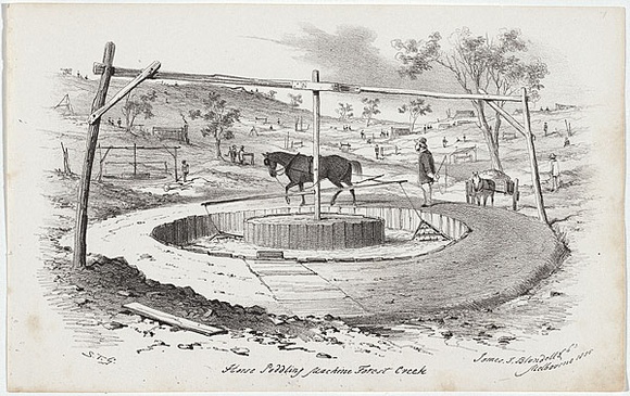 Artist: b'GILL, S.T.' | Title: b'Horse puddling machine, Forest Creek.' | Date: 1855-56 | Technique: b'lithograph, printed in black ink, from one stone' Artist: b'GILL, S.T.' | Title: b'Horse puddling machine, Forest Creek.' | Date: 1855-56 | Technique: b'lithograph, printed in black ink, from one stone'
