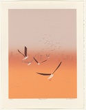Artist: Harbeck, Ron. | Title: Golden dawn. | Date: 1987 | Technique: screenprint, printed in colour, from six stencils