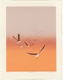 Artist: Harbeck, Ron. | Title: Golden dawn. | Date: 1987 | Technique: screenprint, printed in colour, from six stencils