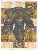 Artist: HALL, Fiona | Title: Brachychiton acerifolius - Flame tree (Australian currency) | Date: 2000 - 2002 | Technique: gouache | Copyright: © Fiona Hall