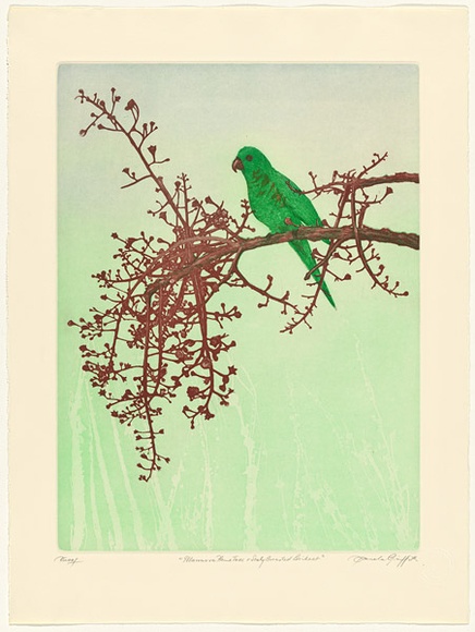 Artist: b'GRIFFITH, Pamela' | Title: b'Illawarra Flame tree and Scaly breasted lorikeet' | Date: 1984 | Technique: b'hard ground, aquatint, spray resist, on two zinc plates' | Copyright: b'\xc2\xa9 Pamela Griffith'