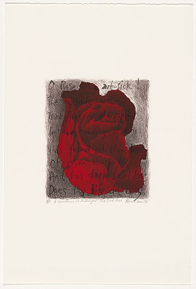 Artist: b'Headlam, Kristin.' | Title: b'A gardener at midnight: The Sick Rose II' | Date: 1995 | Technique: b'lithograph, printed in colour ink, from two stones' Artist: b'Headlam, Kristin.' | Title: b'A gardener at midnight: The Sick Rose II' | Date: 1995 | Technique: b'lithograph, printed in colour ink, from two stones'