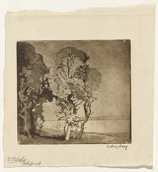 Artist: b'Long, Sydney.' | Title: b'Small pastoral' | Date: (1921) | Technique: b'drypoint and aquatint, printed in brown ink, from one copper plate' | Copyright: b'Reproduced with the kind permission of the Ophthalmic Research Institute of Australia'