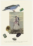Title: A blue faced female Black-naped Monarch whispers the secrets of the world to me but I am unimpressed | Date: 2007 | Technique: offset-lithograph, printed in colour, from multiple plates; collaged addition of cut paper