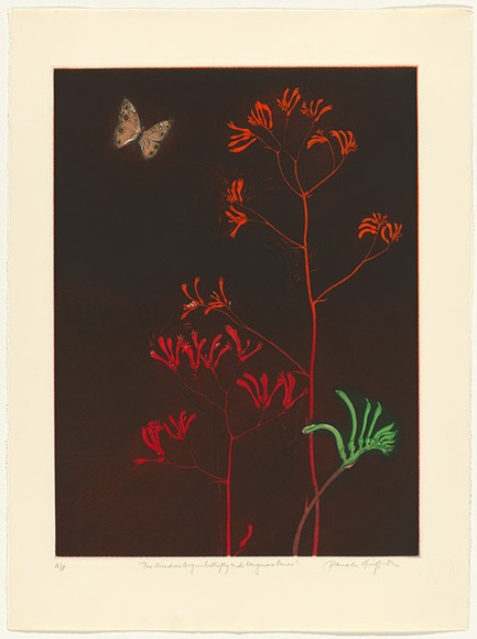 Artist: b'GRIFFITH, Pamela' | Title: b'The Meadow Argus Butterfly and Kangaroo Paws' | Date: 1987 | Technique: b'hardground-etching and aquatint, printed in colour, from two zinc plates' | Copyright: b'\xc2\xa9 Pamela Griffith' Artist: b'GRIFFITH, Pamela' | Title: b'The Meadow Argus Butterfly and Kangaroo Paws' | Date: 1987 | Technique: b'hardground-etching and aquatint, printed in colour, from two zinc plates' | Copyright: b'\xc2\xa9 Pamela Griffith'