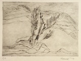 Artist: SHEARER, Mitzi | Title: not titled | Date: 1979 | Technique: etching, drypoint printed in black ink with plate-tone, from one  plate