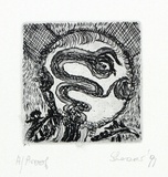 Artist: SHEARER, Mitzi | Title: not titled | Date: 1991 | Technique: etching, printed in black ink with plate-tone, from one plate