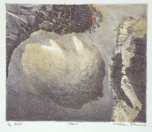 Artist: b'Robinson, William.' | Title: b'Cloud' | Date: 1992 | Technique: b'lithograph, printed in colour, from multiple stones; hand coloured' Artist: b'Robinson, William.' | Title: b'Cloud' | Date: 1992 | Technique: b'lithograph, printed in colour, from multiple stones; hand coloured'