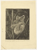 Artist: Morgan, Squire. | Title: The bush mother. | Date: c.1932 | Technique: etching and aquatint, printed in black ink, from one plate