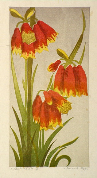 Artist: b'Higgs, Florence.' | Title: b'Christmas bells' | Date: (1954) | Technique: b'linocut, printed in colour, from five blocks' Artist: b'Higgs, Florence.' | Title: b'Christmas bells' | Date: (1954) | Technique: b'linocut, printed in colour, from five blocks'