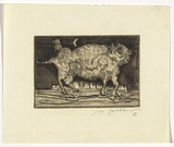 Artist: SELLBACH, Udo | Title: not titled | Date: 1960-80 | Technique: etching