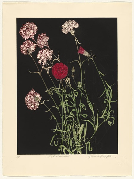 Artist: b'GRIFFITH, Pamela' | Title: b'The Red Carnation' | Date: 1988 | Technique: b'hardground-etching and aquatint, printed in colour, from two copper plates' | Copyright: b'\xc2\xa9 Pamela Griffith' Artist: b'GRIFFITH, Pamela' | Title: b'The Red Carnation' | Date: 1988 | Technique: b'hardground-etching and aquatint, printed in colour, from two copper plates' | Copyright: b'\xc2\xa9 Pamela Griffith'