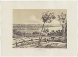 Artist: PROUT, John Skinner | Title: Sydney, from Mrs Darling's Point. | Date: 1842 | Technique: lithograph, printed in colour, from two stones (black and brown tint stone)