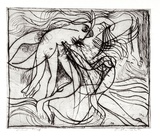 Artist: BOYD, Arthur | Title: Birth of the Southern Cross. | Date: 1962-63 | Technique: etching, printed in black ink, from one plate | Copyright: Reproduced with permission of Bundanon Trust