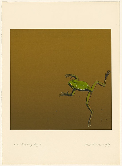 Artist: b'Rose, David.' | Title: b'Floating frog I' | Date: 1979 | Technique: b'screenprint, printed in colour, from multiple stencils' Artist: b'Rose, David.' | Title: b'Floating frog I' | Date: 1979 | Technique: b'screenprint, printed in colour, from multiple stencils'
