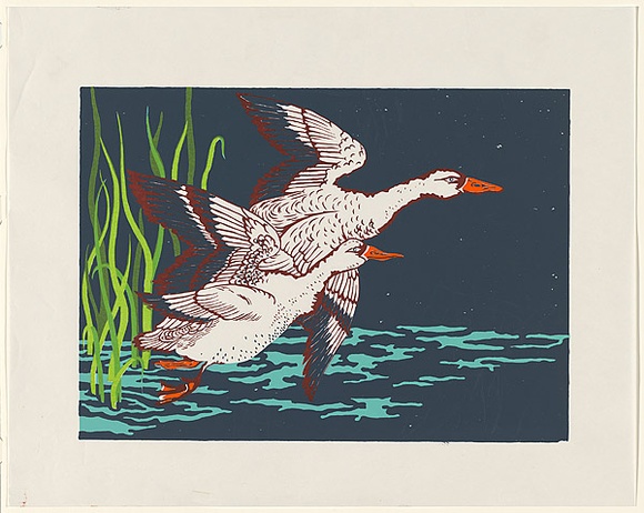 Artist: b'UNKNOWN' | Title: b'[Two flying ducks].' | Date: (1978-80) | Technique: b'screenprint, printed in colour, from six stencils'