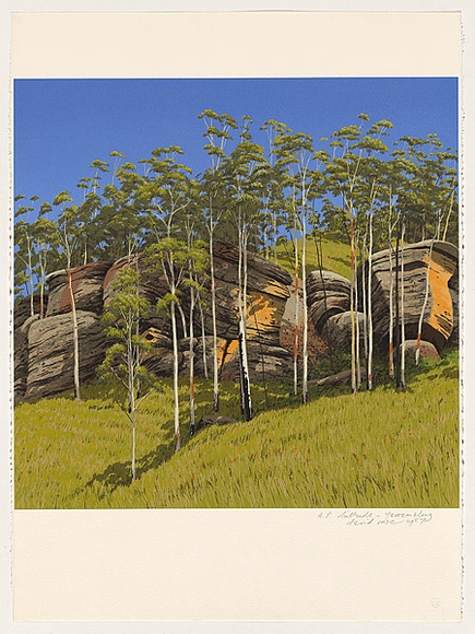 Artist: b'Rose, David.' | Title: b'Hillside - Yarramalong' | Date: 1987 | Technique: b'screenprint, printed in colour, from multiple stencils' Artist: b'Rose, David.' | Title: b'Hillside - Yarramalong' | Date: 1987 | Technique: b'screenprint, printed in colour, from multiple stencils'