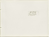 Artist: b'JACKS, Robert' | Title: b'not titled [abstract linear composition]. [leaf 31 : recto]' | Date: 1978 | Technique: b'etching, printed in black ink, from one plate'