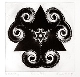 Artist: b'Hart, Amanda.' | Title: b'Feminine male' | Date: 1994 | Technique: b'photo-etching and aquatint, printed in black ink with plate-tone, from one plate'