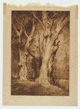 Artist: van RAALTE, Henri | Title: Tuarts of the South-West. | Date: 1920 | Technique: drypoint, printed in brown ink with plate-tone, from one plate