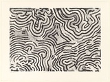 Artist: Thompson Nelson, Faith. | Title: Wet land | Date: 2000, November | Technique: lithograph, printed in black ink, from one aluminium plate