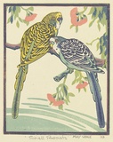 Artist: b'Voke, May.' | Title: b'Shell parrots' | Date: 1933 | Technique: b'linocut, printed in colour, from mutliple blocks'