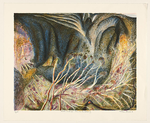 Artist: b'Robinson, William.' | Title: b'Creation landscape - Man and the Spheres III' | Date: 1991, September, October, November | Technique: b'lithograph, printed in colour, from multiple plates' Artist: b'Robinson, William.' | Title: b'Creation landscape - Man and the Spheres III' | Date: 1991, September, October, November | Technique: b'lithograph, printed in colour, from multiple plates'
