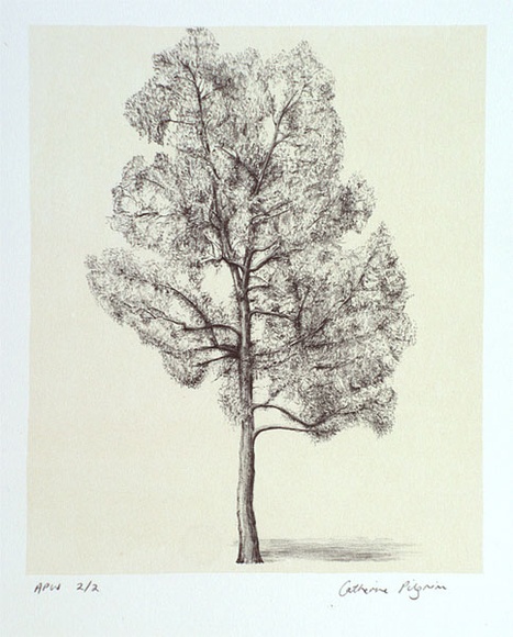 Artist: b'Pilgrim, Catherine.' | Title: b'not titled [narrow tree]' | Date: 2001, March | Technique: b'lithograph, printed in colour, from two stones (image in black, cream tint)'