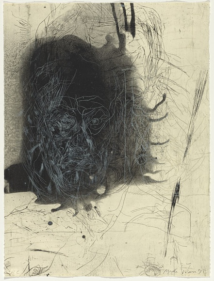 Artist: b'PARR, Mike' | Title: b'not titled.' | Date: 1995 | Technique: b'etching, printed in colour, from two plates; lithograph, printed in black ink, from one stone' Artist: b'PARR, Mike' | Title: b'not titled.' | Date: 1995 | Technique: b'etching, printed in colour, from two plates; lithograph, printed in black ink, from one stone'