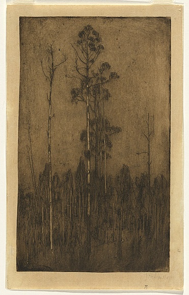 Artist: b'Traill, Jessie.' | Title: b'Hill top trees' | Date: 1911 | Technique: b'etching and foul biting, printed in brown-black ink with plate-tone and wiped highlights, from one plate' Artist: b'Traill, Jessie.' | Title: b'Hill top trees' | Date: 1911 | Technique: b'etching and foul biting, printed in brown-black ink with plate-tone and wiped highlights, from one plate'