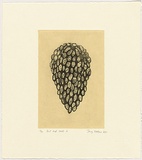 Artist: b'Watson, Judy.' | Title: b'Fruit and seeds 2' | Date: 2000 | Technique: b'etching, printed in black ink, from one plate; chine coll\xc3\xa9'